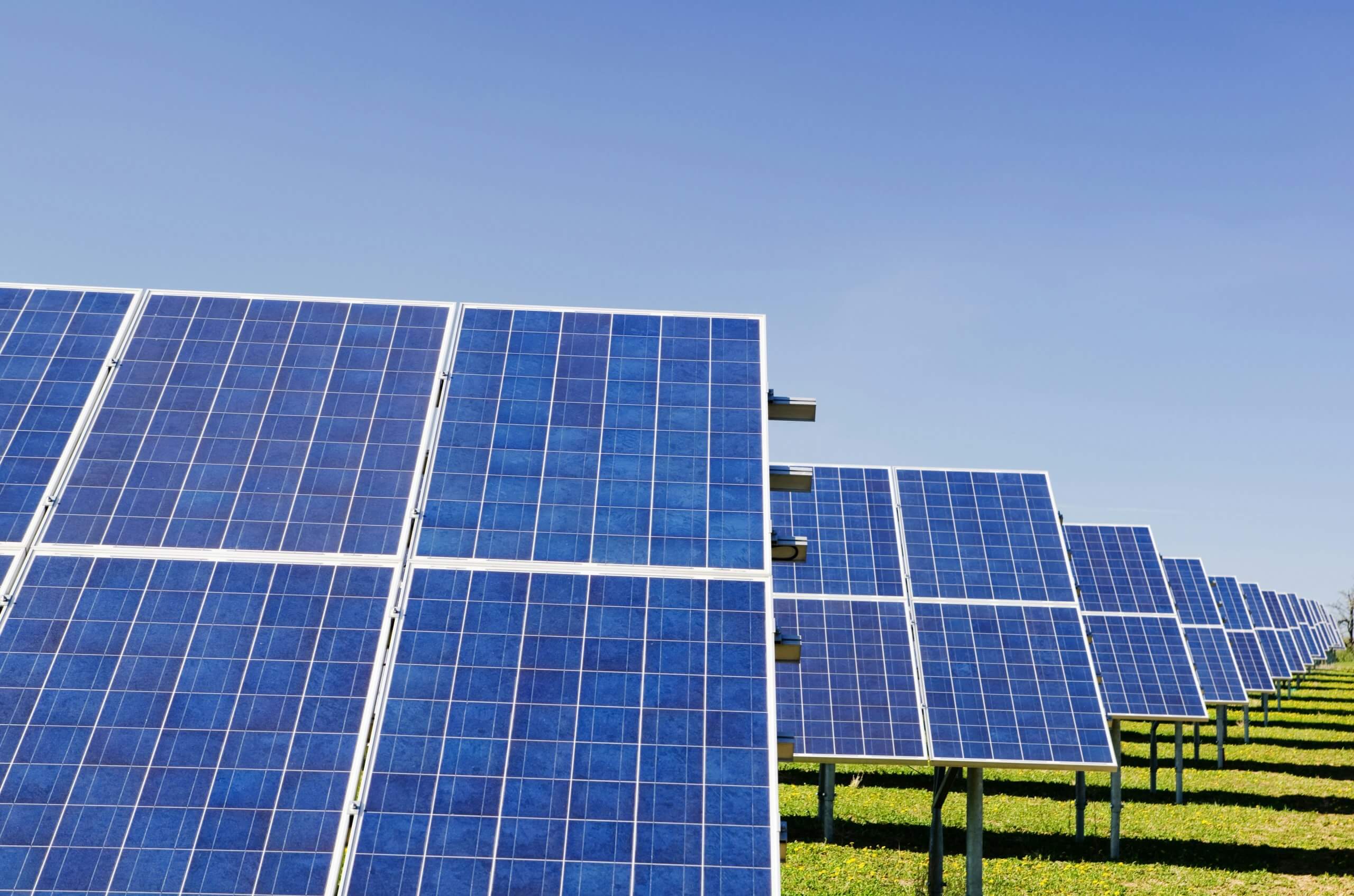 Plusieurs rangées de panneaux solaires